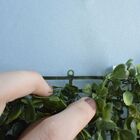 Placa De Grama Artificial 60x40 Para Jardim Vertical | Formos